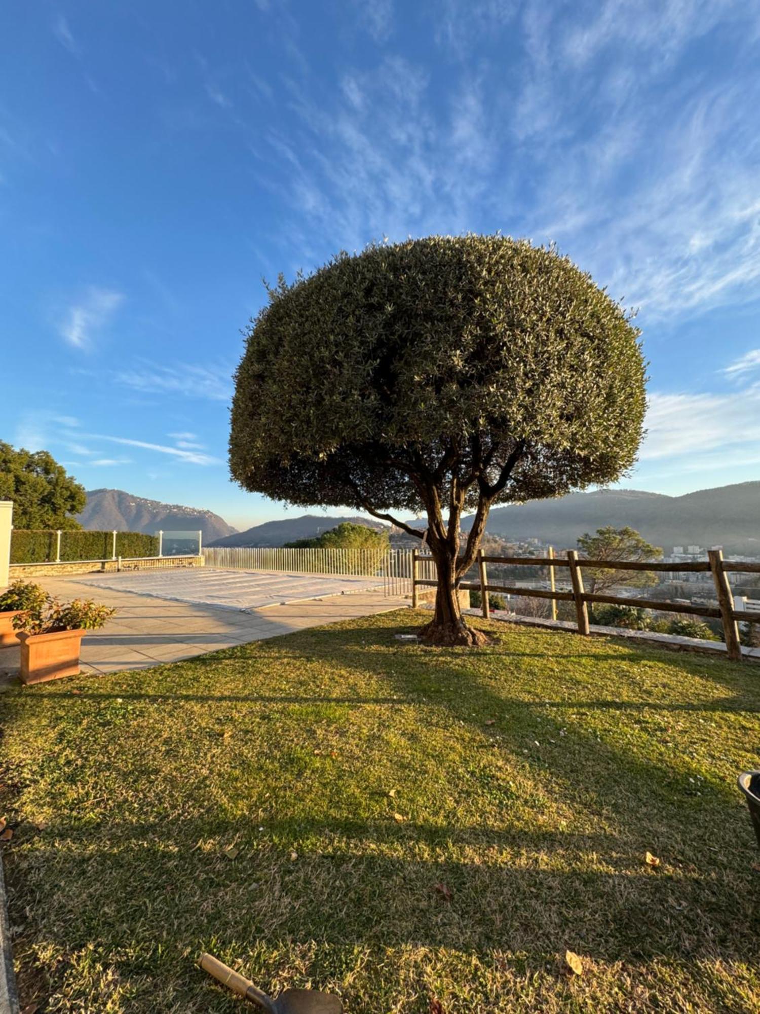Veralto - Modern Suite With Como Lake View Vacallo Exterior foto